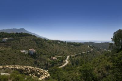 Lots/Land For sale in Benahavis, Malaga, Spain - El Madroñal