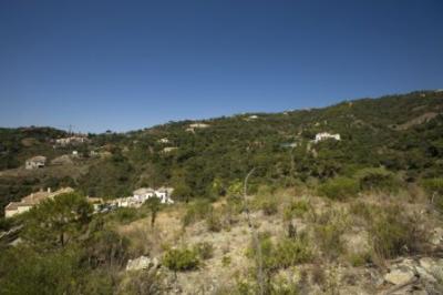 Lots/Land For sale in Benahavis, Malaga, Spain - El Madroñal