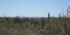 Photo of Lots/Land For sale in El Pescadero, Baja California Sur, Mexico - Sin Nombre 1289