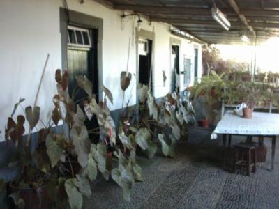 Cabin/Cottage For sale in Ponta do Sol, Madeira, Portugal - Ponta do Sol