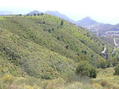 Lots/Land For sale in nerja, malaga, Spain