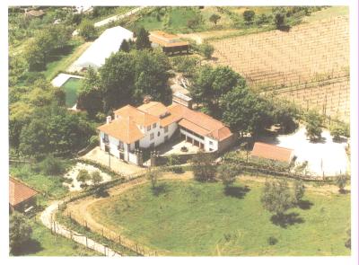 Mansion For sale in Ancede, Baião, Douro, Portugal - Ancede, Baião