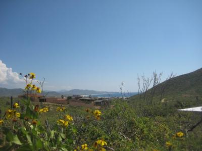 Lots/Land For sale in Los Cerritos, El Pescadero, Baja California Sur, Mexico - Sin Nombre Lot 2455