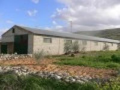 Farm/Ranch For sale in salar, granada, Spain