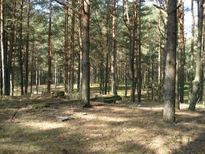 Lots/Land For sale in Rezekne district, Latgale, Latvia