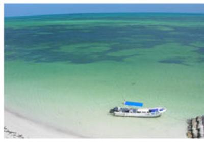 Lots/Land For sale in CANCUN, QUINTANA ROO, Mexico - holbox, island