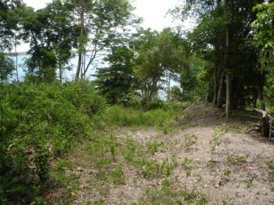 Lots/Land For sale in Bacalar, Quintana Roo, Mexico - Calle 22 entre 3 y 5 Centro