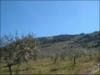 Photo of Farm/Ranch For sale in belmez, cordoba, Spain