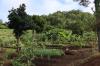 Photo of Farm/Ranch For sale in Chiapas, Mexico
