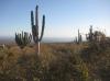 Photo of Lots/Land For sale in Cabo San Lucas, Baja California Sur, Mexico - Rolling Hills Estates