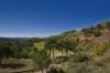 Photo of Lots/Land For sale in Benahavis, Malaga, Spain - Monte Mayor Golf & Country Club