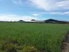 Photo of Farm/Ranch For sale in Huamantla, Tlaxcala, Mexico
