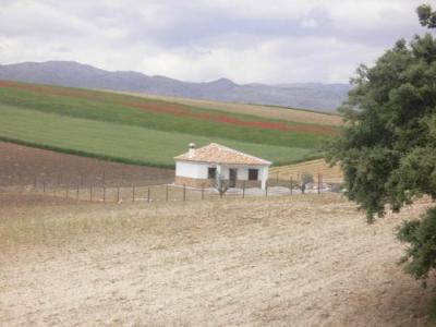 Farm/Ranch For sale in alhama de granada, granada, Spain