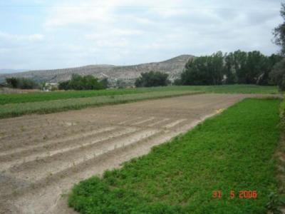 Farm/Ranch For sale in salar, granada, Spain