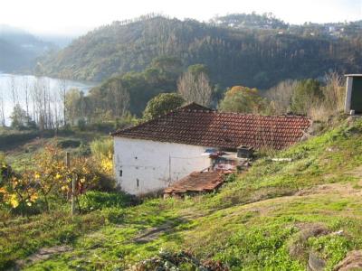 Farm/Ranch For sale in Souselo, Cinfães, Portugal - Escamarão