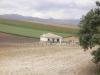 Photo of Farm/Ranch For sale in alhama de granada, granada, Spain