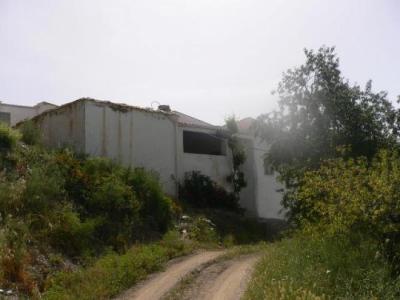 Farm/Ranch For sale in albondon, granada, Spain