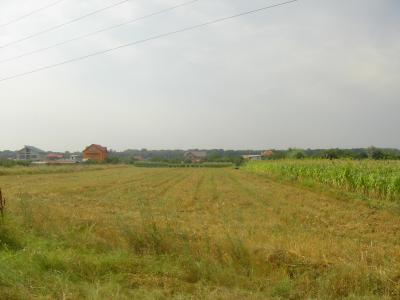 Lots/Land For sale in Clinceni - Ordoreanu, Ilfov, Romania - Clinceni Village