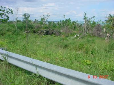 Lots/Land For sale in Bacalar, Quintana Roo, Mexico - Calle 22 entre 3 y 5 Centro
