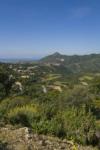 Photo of Lots/Land For sale in Benahavis, Malaga, Spain - La Zagaleta