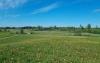 Photo of Lots/Land For sale in Madona region, Latvia