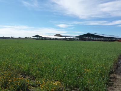 Farm/Ranch For sale in Huamantla, Tlaxcala, Mexico