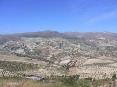 Farm/Ranch For sale in salar, granada, Spain