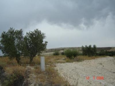 Farm/Ranch For sale in alhama de granada, granada, Spain