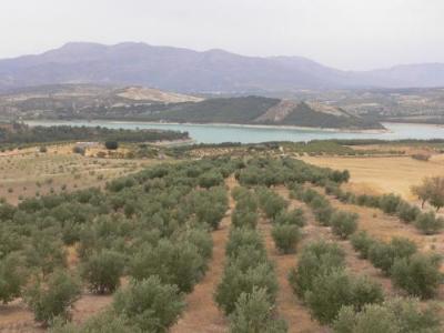 Farm/Ranch For sale in alhama de granada, granada, Spain