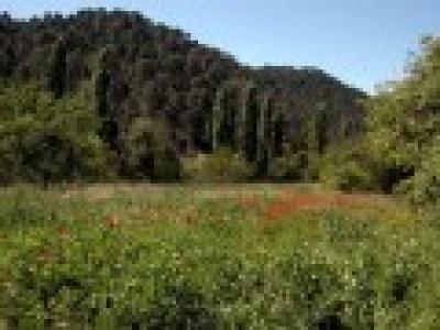Lots/Land For sale in beas de segura, jaen, Spain