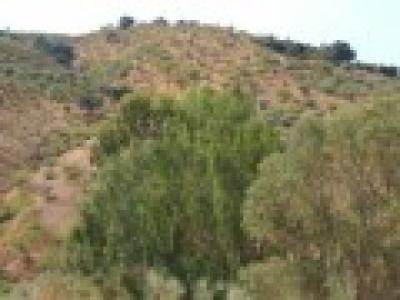 Farm/Ranch For sale in colmenar, malaga, Spain
