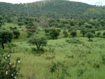 Farm/Ranch For sale in santa eufemia, cordoba, Spain