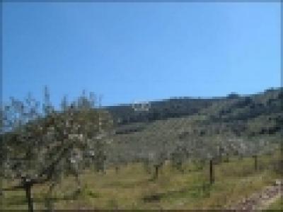 Farm/Ranch For sale in belmez, cordoba, Spain