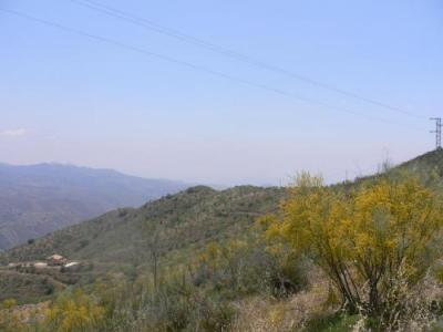 Farm/Ranch For sale in malaga, malaga, Spain