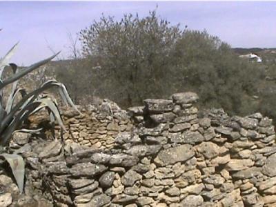 Farm/Ranch For sale in loja, granada, Spain