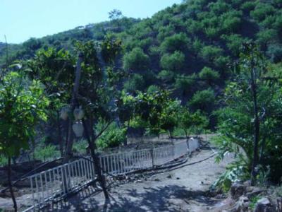Farm/Ranch For sale in malaga, malaga, Spain