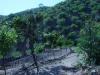 Photo of Farm/Ranch For sale in malaga, malaga, Spain