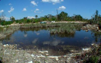 Lots/Land For sale in Mexico