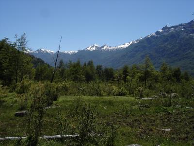 Lots/Land For sale in Rio Negro, Argentina