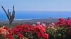 Photo of Lots/Land For sale in Cabo San Lucas, Baja California Sur, Mexico - Rolling Hills Estates