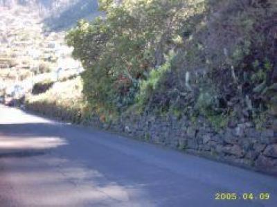 Lots/Land For sale in Calheta, madeira, Portugal - arco da Calheta