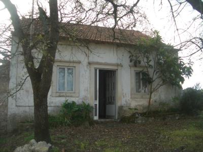 Cabin/Cottage For sale in Alcobaça, Leiria, Portugal - Boieira