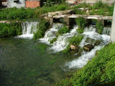 Farm/Ranch For sale in Alcobaça, Leiria, Portugal