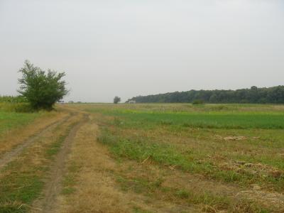 Lots/Land For sale in Domnesti - Teghes, Ilfov, Romania - Domnesti Village