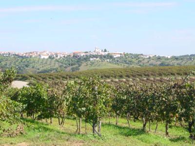 House For sale in Seda, Alentejo/Ponte de Sôr, Portugal