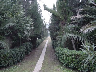 Investing/Development For sale in spinetoli, ascoli piceno, Italy - via enfiteusi 