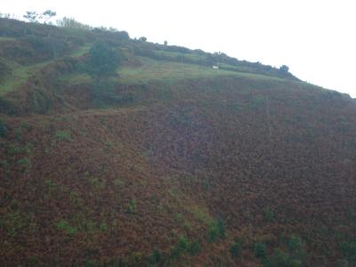 Lots/Land For sale in calheta, madeira, Portugal - rua da igreja amparo