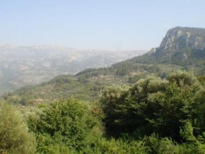 Villa For sale in SOLLER, MALLORCA, Spain