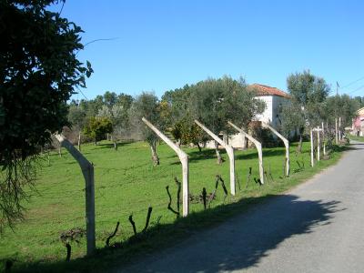 Single Family Home For sale in Cernache do Bonjardim, Sertã, Castelo Branco, Portugal - Barrocas