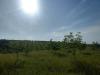 Photo of Farm/Ranch For sale in Tama?i, Bacau, Romania